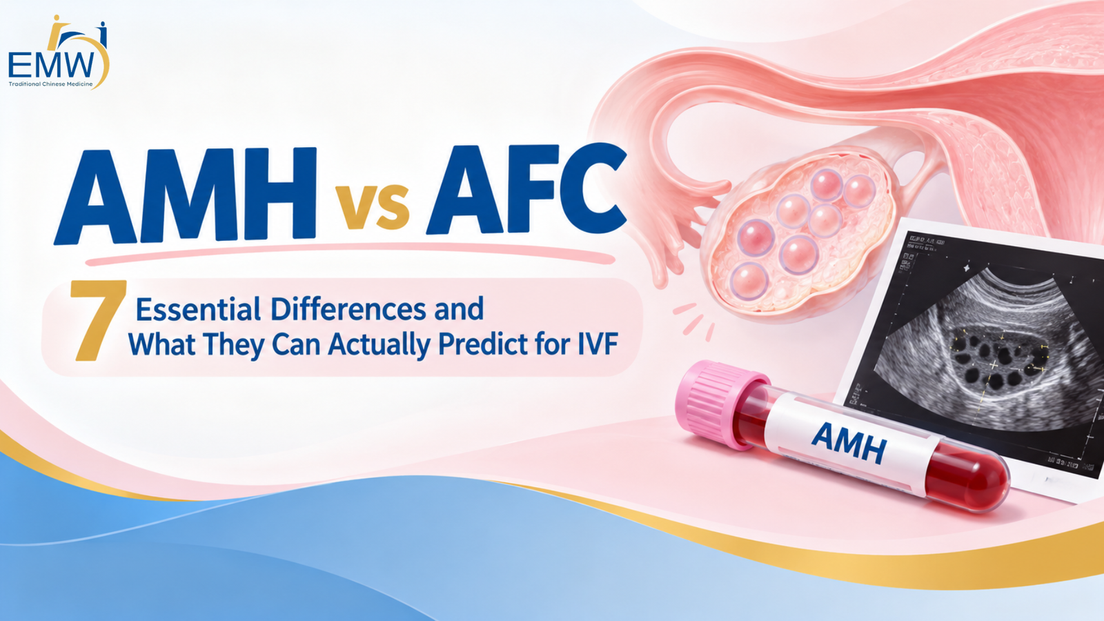 AMH vs AFC: 7 Essential Differences Every Fertility Patient Should Understand